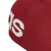 Фото Шапка Adidas DAILY BEANIE ED0314 - зображення 2