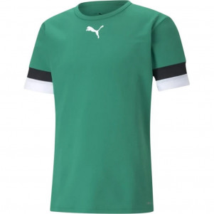 Чоловіча футболка Puma teamRISE Jersey 704932-05