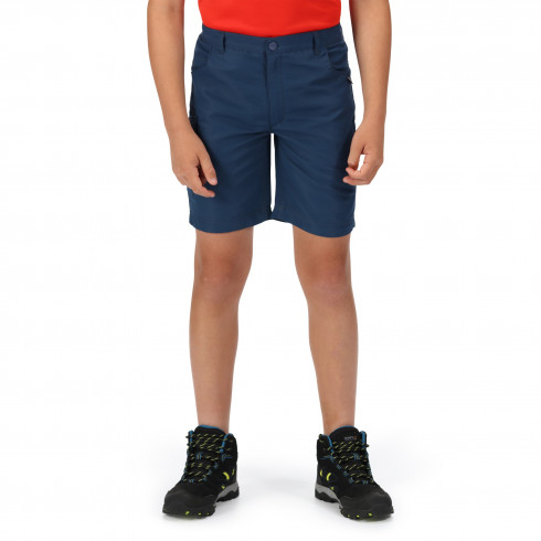 Фото Дитячі шорти Regatta Sorcer Shorts II RKJ106-ZV7 - зображення 5