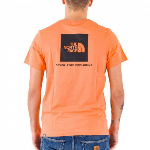 Фото Чоловіча футболка The North Face M S/S REDBOX TE NF0A2TX2N6M1 - зображення 2