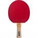 Фото Ракетка для настільного тенісу ATEMI PRO 5000 2835 - зображення 1