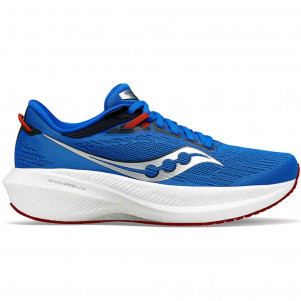 Чоловічі бігові кросівки Saucony TRIUMPH 21 S20881-107-COSI