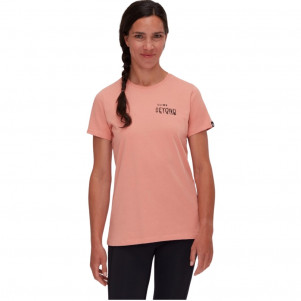 Жіноча футболка Mammut Massone T-Shirt Women Dreaming 1017-05242-QUAR