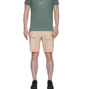 Чоловічі шорти Mammut Zinal Hybrid Shorts Men 1023-00920-SAVA