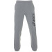 Фото Чоловічі спортивні штани ASICS BIG LOGO SWEAT PANT 2031A977-021 - зображення 1