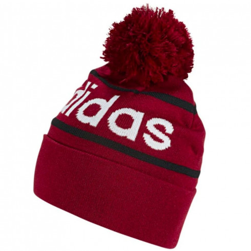 Фото Шапка Adidas Logo Pom Woolie ED0241 - зображення 1