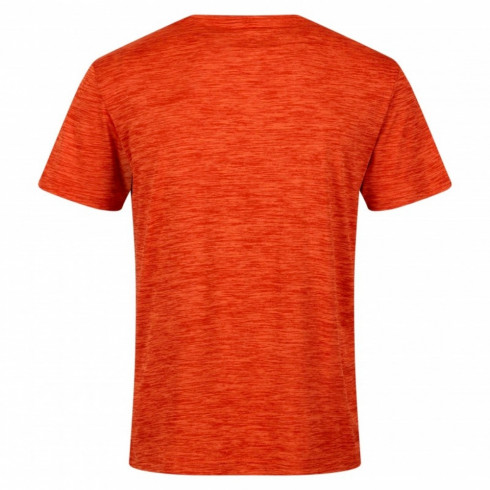 Фото Чоловіча спортивна футболка Regatta Fingal Edition RMT237-33L - зображення 2