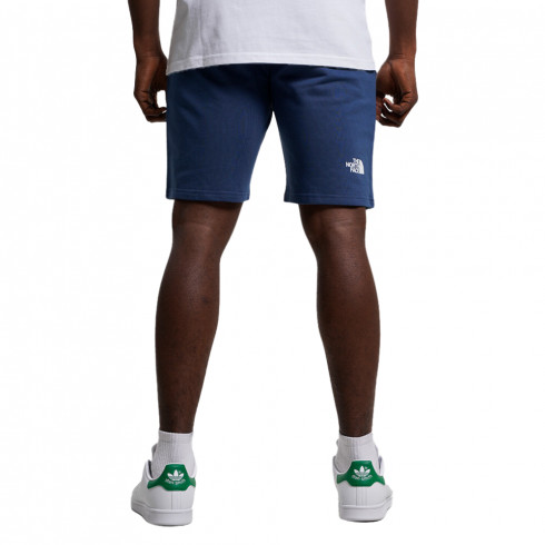 Фото Чоловічі шорти The North Face STANDARD SHORT NF0A3S4EHDC1 - зображення 4