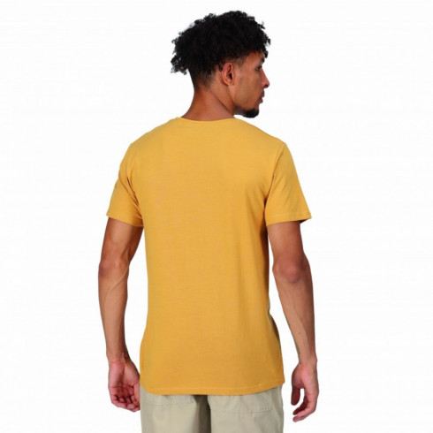 Фото Чоловіча футболка Regatta Cline VII RMT263-BIM - зображення 2