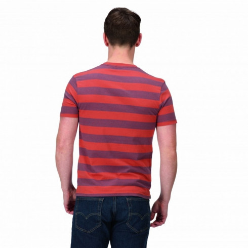 Фото Чоловіча футболка Regatta Ryeden RMT265-N5K - зображення 2