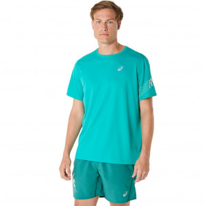 Чоловіча футболка ASICS ICON SS TOP 2011D239-401
