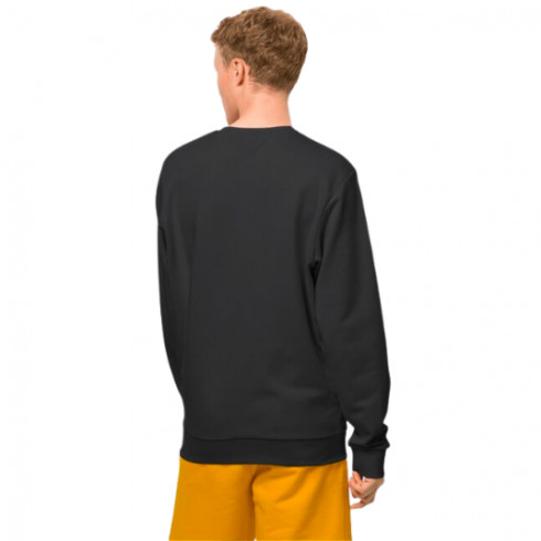 Фото Чоловіча толстовка Jack Wolfskin ESSENTIAL CREWNECK M 1710212_6000 - зображення 2
