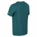 Чоловіча спортивна футболка Regatta Tait RMT218-F15 - зображення 5 Фото Чоловіча спортивна футболка Regatta Tait RMT218-F15 - зображення 5