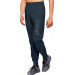 Фото Чоловічі спортині штани ASICS BIG LOGO SWEAT PANT 2031A977-409 - зображення 1