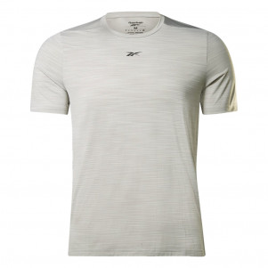 Чоловіча спортивна футболка Reebok Tech Style Activchill Move GS6592