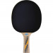 Фото Ракетка для настільного тенісу Donic Schildkrot Legends 300 FSC 705234 - зображення 2
