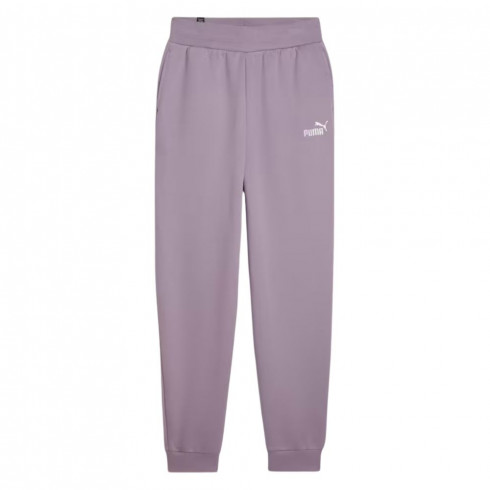 Фото Жіночі спортивні штани Puma ESS+ Embroidery High-Waist Pants FL cl n 67000730 - зображення 1