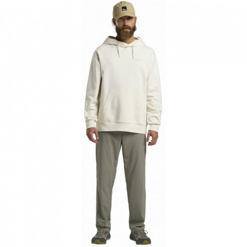 Фото Чоловічі худі Jack Wolfskin ESSENTIAL HOODIE M A63872_5127 - зображення 7
