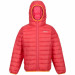 Фото Дитяча прошита куртка Regatta JnrHoodedMarizion RKN148-P8Z - зображення 3