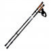 Фото Палки для скандинавської ходьби HI-TEC ALPENSTOCK-BLACK/GREY - зображення 1