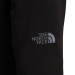 Фото Чоловічі штани The North Face Nse Light Pant NF0A4T1FJK31 - зображення 4