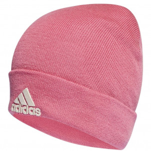 Шапка Adidas LOGO HF0108