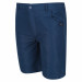 Фото Дитячі шорти Regatta Sorcer Shorts II RKJ106-ZV7 - зображення 4