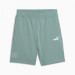 Фото Чоловічі шорти Puma Sport Graphic 9" Shorts 684623-30 - зображення 1