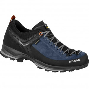 Чоловічі трекінгові кросівки Salewa MS MTN TRAINER 2 GTX 61356_2490