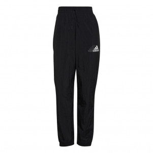 Жіночі спортивні штани Adidas Brand Love Repeat Logo GS1355