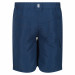 Фото Дитячі шорти Regatta Sorcer Shorts II RKJ106-ZV7 - зображення 2