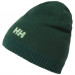 Фото Шапка Helly Hansen BRAND BEANIE 57502-495 - зображення 1