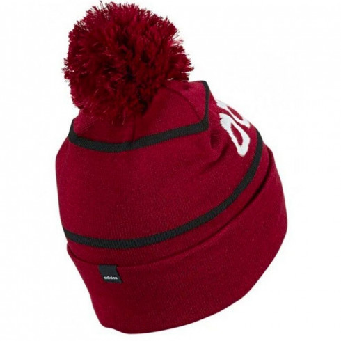 Фото Шапка Adidas Logo Pom Woolie ED0241 - зображення 2