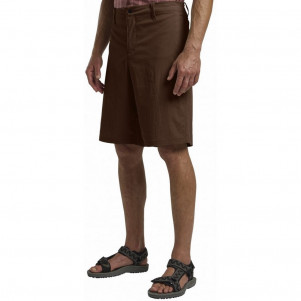 Чоловічі шорти Jack Wolfskin DESERT SHORTS M 1508341_2745