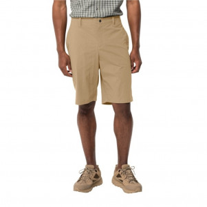 Шорти чоловічі Jack Wolfskin DESERT SHORTS M 1508341_5156