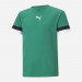 Дитяча футболка Puma teamRISE Jersey Jr 704938-05 - зображення 1 Фото Дитяча футболка Puma teamRISE Jersey Jr 704938-05 - зображення 1