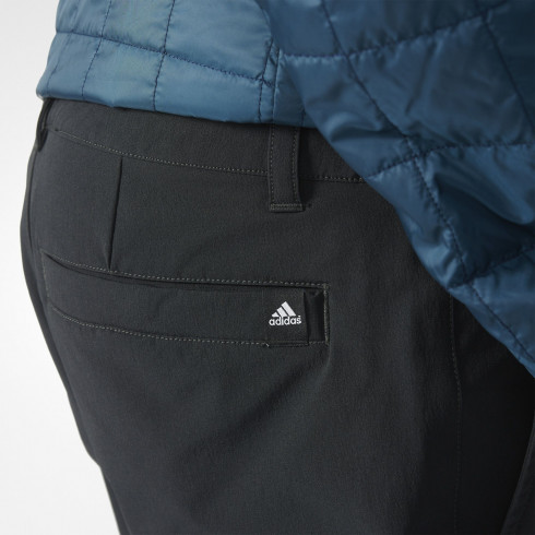 Фото Чоловічі штани Adidas ALPHERR SOFT SHELL A98736 - зображення 5