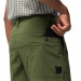 Фото Шорти чоловічі Jack Wolfskin DESERT SHORTS M 1508341_4129 - зображення 3