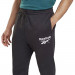 Фото Чоловічі штани Reebok Identity Vector GT5800 - зображення 2