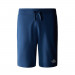 Фото Чоловічі шорти The North Face STANDARD SHORT NF0A3S4EHDC1 - зображення 3
