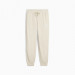 Фото Жіночі штани Puma CLASS Comfort Sweatpants 685037-87 - зображення 1
