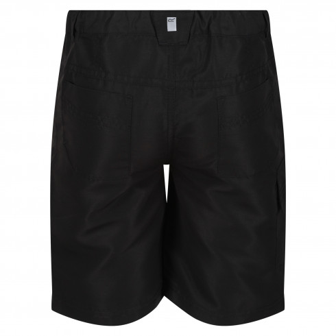 Фото Шорти Regatta Sorcer Shorts II RKJ106-800 - зображення 4