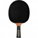 Фото Ракетка для настільного тенісу Donic Schildkrot Waldner 700 754872 - зображення 2