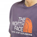 Фото Чоловіча футболка The North Face Rust 2 NF0A4M68IWA1 - зображення 2