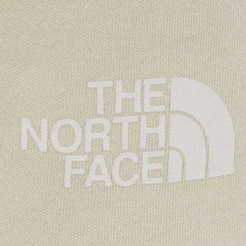 Фото Чоловічі шорти The North Face GRAPHIC SHORT LIGHT NF0A3S4F3X41 - зображення 3