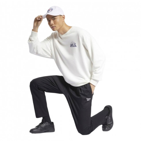 Фото Чоловічі спортивні штани Reebok CL RTOD CTM PT HB9686 - зображення 5