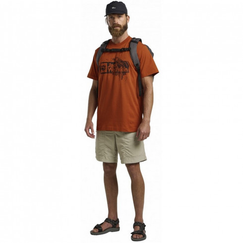 Фото Чоловіча футболка Jack Wolfskin BRAND T M A64116_3330 - зображення 2