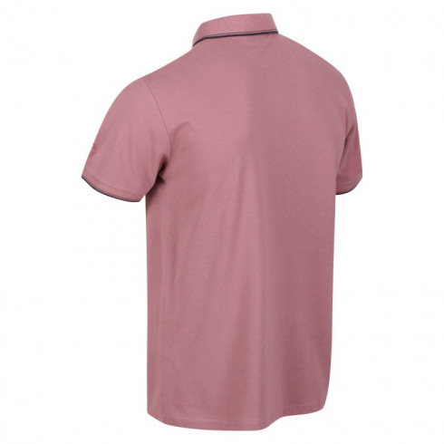 Фото Поло чоловіче Regatta Tadeo RMT248-25B - зображення 3