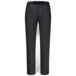 Чоловічі утеплені штани Jack Wolfskin WINTER WALK PANTS M 1506952_6000