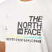 Фото Чоловіча футболка The North Face FOUNDATION GRAPHIC NF0A55EFQ4C1 - зображення 5